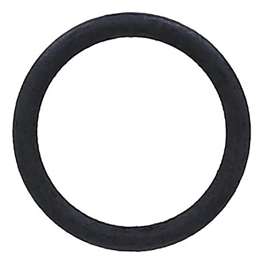 Elring 793.220 Seal Ring