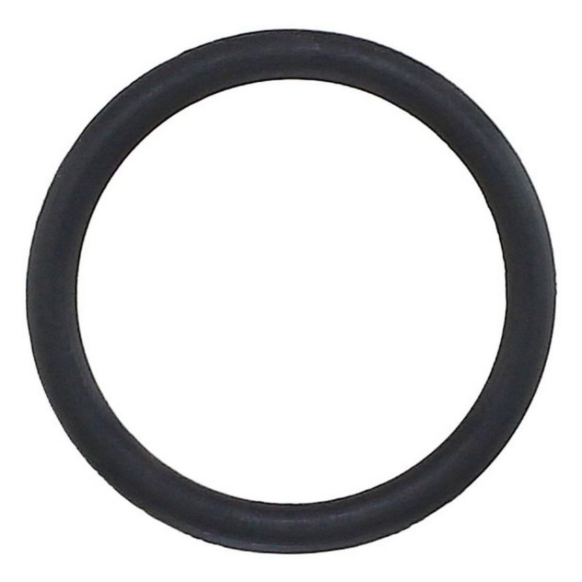 Elring 818.402 Seal Ring