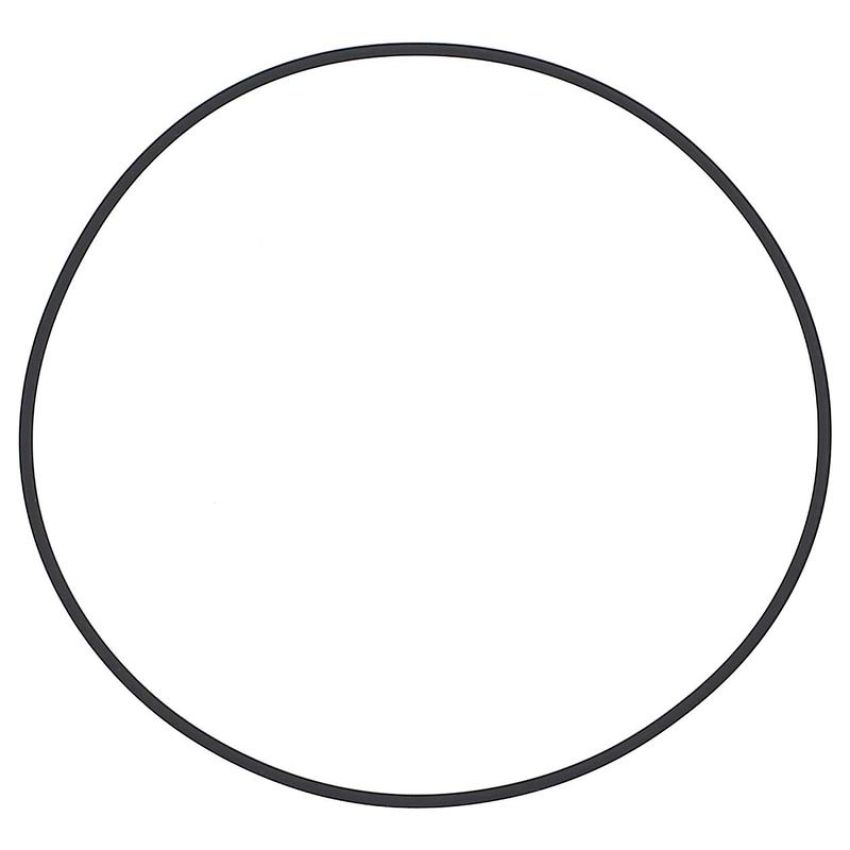 Elring 843.010 Seal Ring