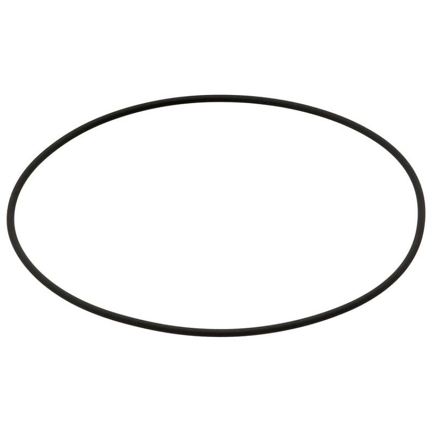 Elring 843.010 Seal Ring