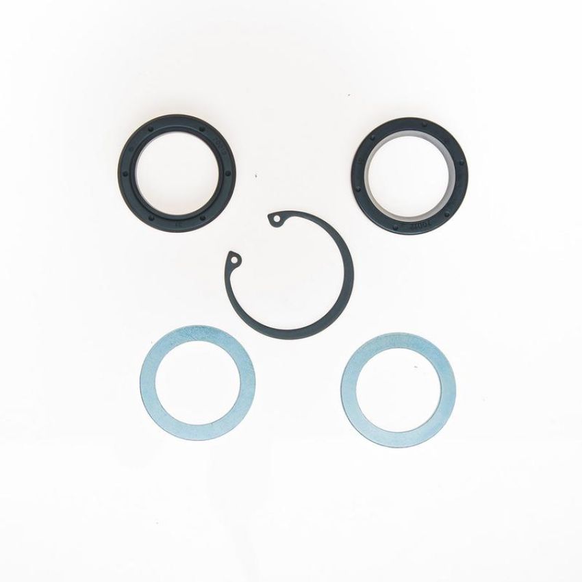 Edelmann 7856 STG. GEAR LWR PITMAN SHAFT SEAL KIT