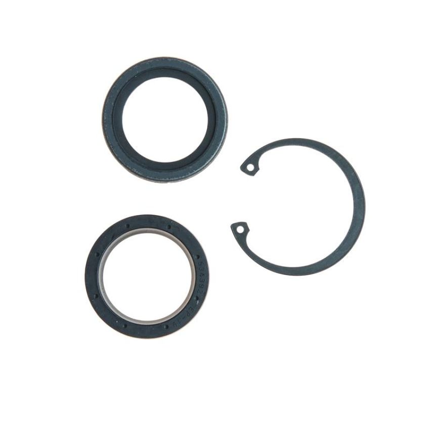 Edelmann 8516 STG. GEAR LWR PITMAN SHAFT SEAL KIT