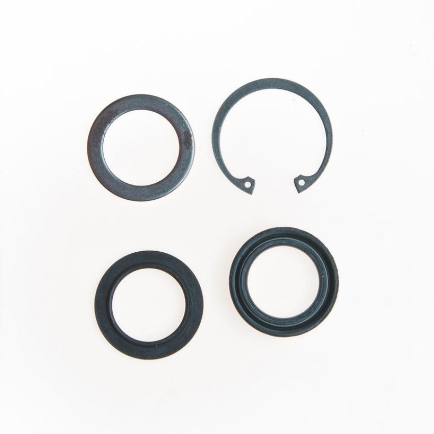 Edelmann 8530 STG. GEAR LWR PITMAN SHAFT SEAL KIT