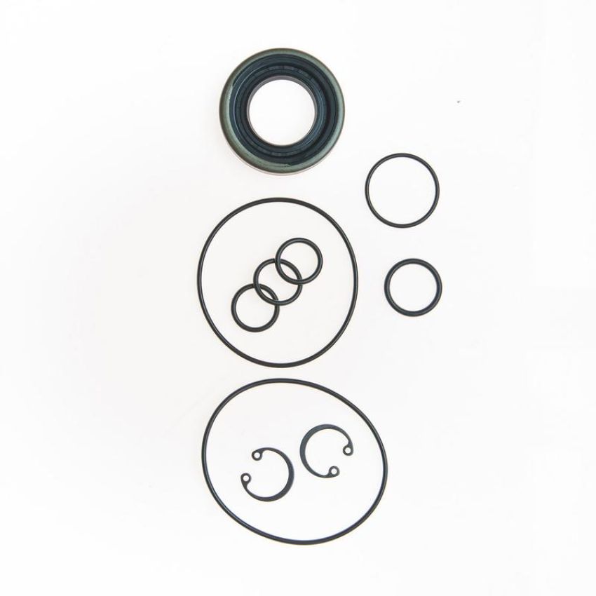 Edelmann 8598 PUMP SEAL KIT