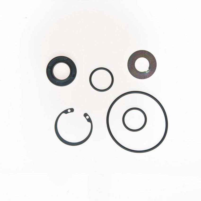 Edelmann 8604 PUMP SEAL KIT