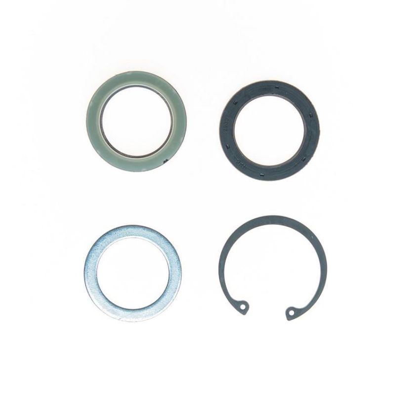 Edelmann 8717 STG. GEAR LWR PITMAN SHAFT SEAL KIT