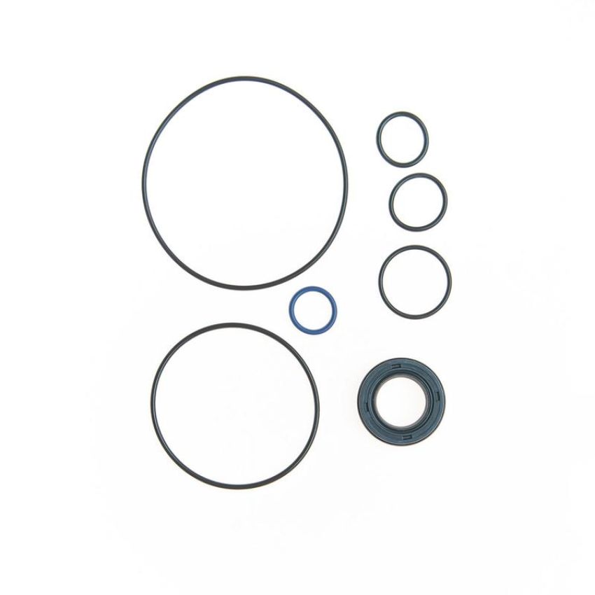 Edelmann 8718 PUMP SEAL KIT