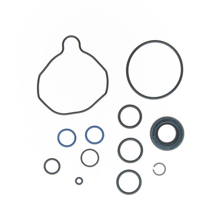 Edelmann 8721 PUMP SEAL KIT