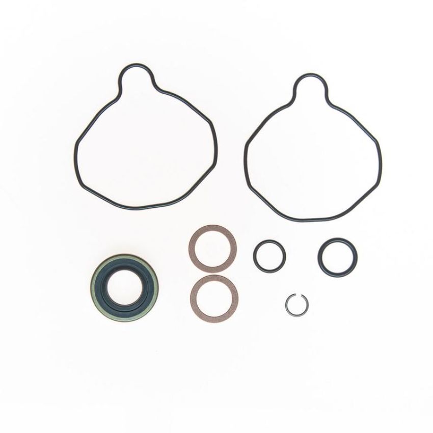 Edelmann 8723 PUMP SEAL KIT