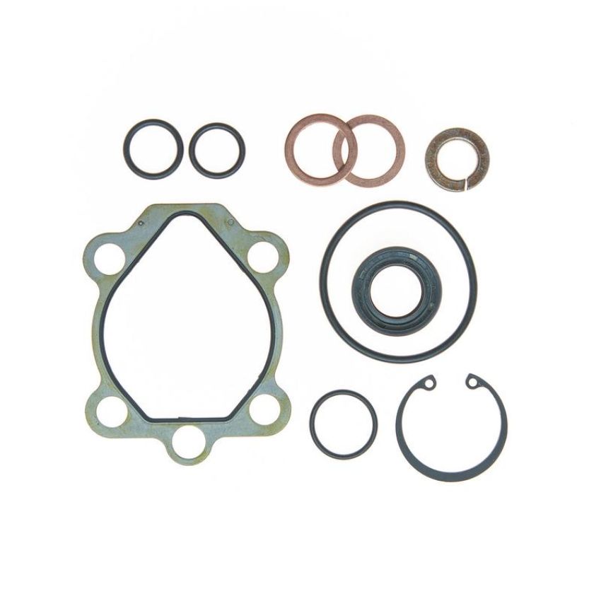 Edelmann 8724 PUMP SEAL KIT