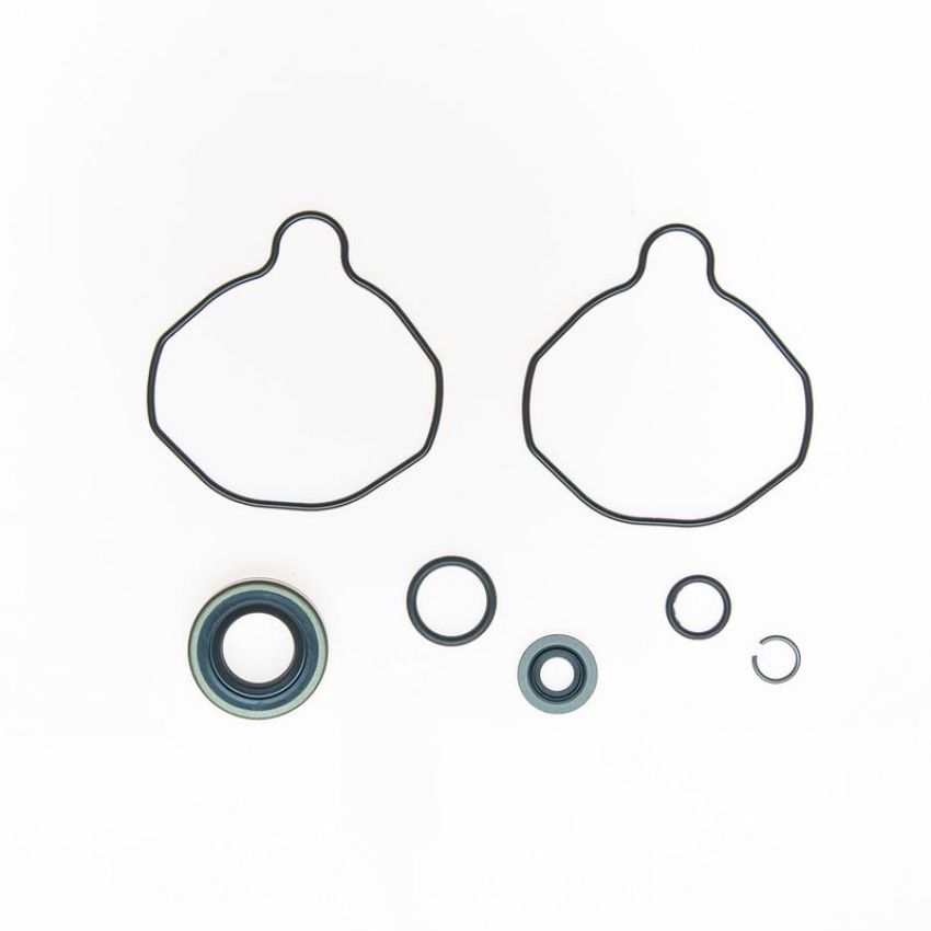 Edelmann 8726 PUMP SEAL KIT