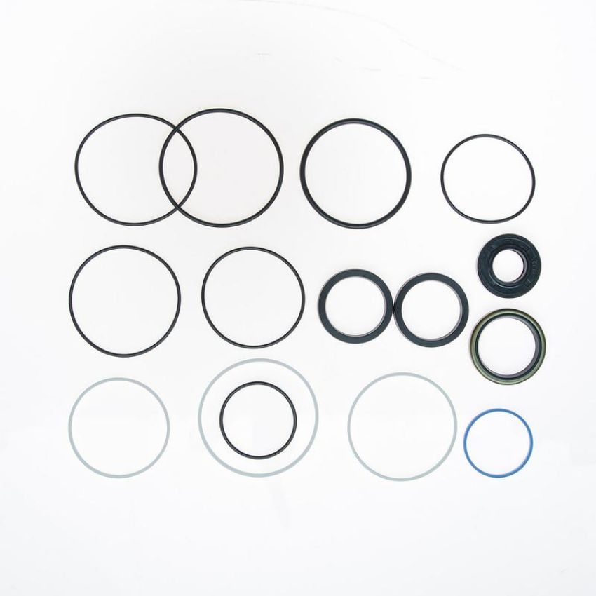 Edelmann 8747 STG. GEAR MAJOR SEAL KIT