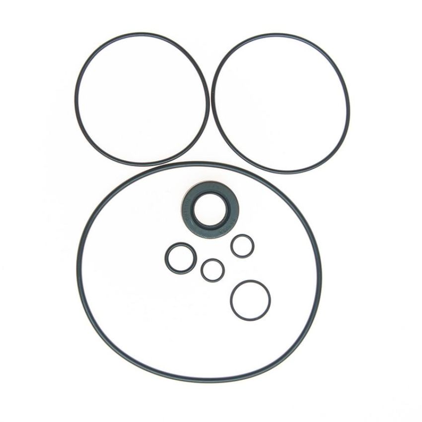 Edelmann 8754 PUMP SEAL KIT
