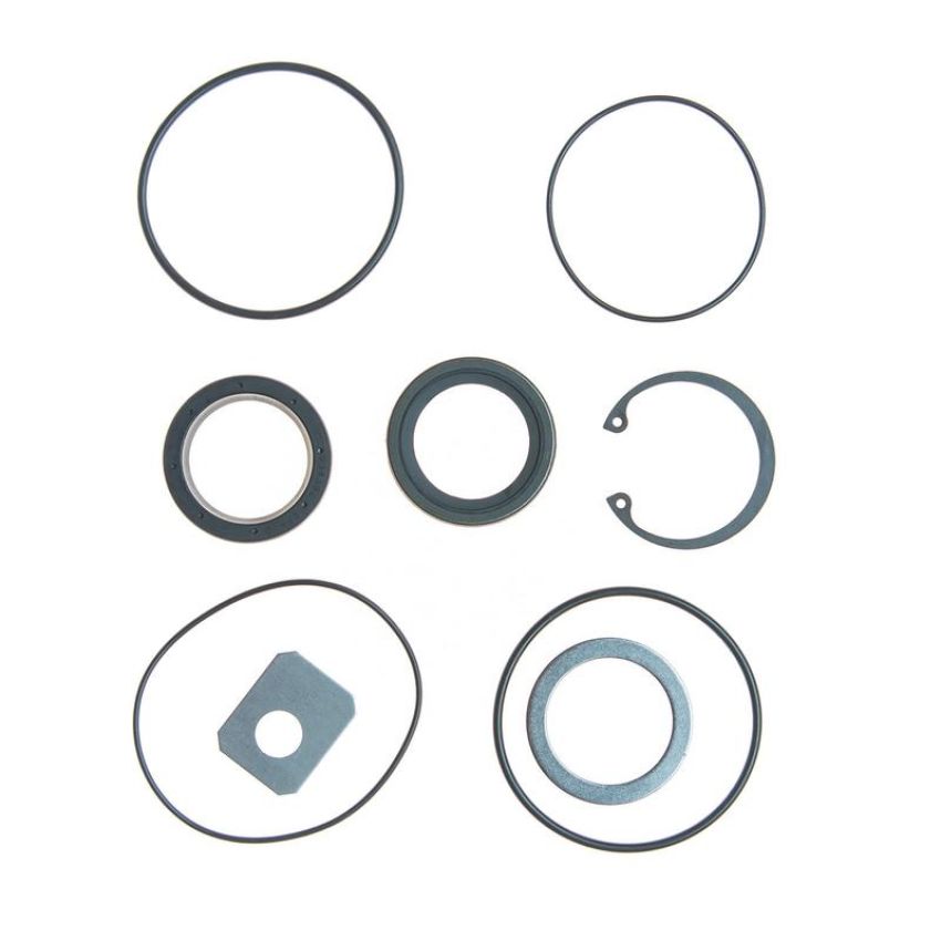Edelmann 8765 STG. GEAR COMP PITMAN SHAFT SEAL KIT