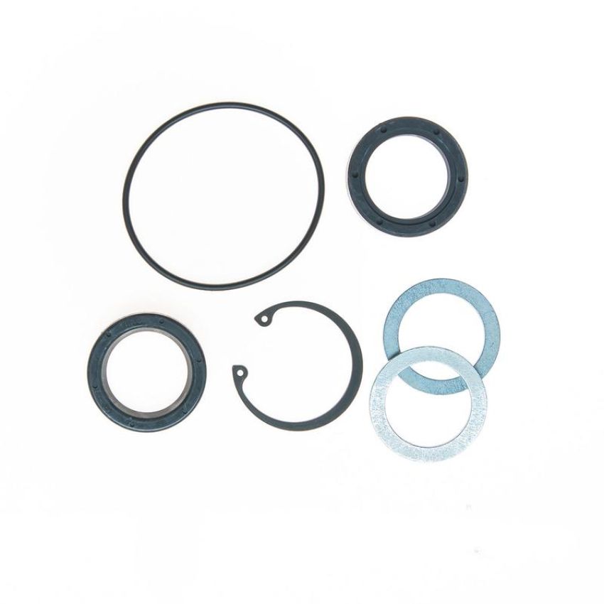 Edelmann 8766 STG. GEAR COMP PITMAN SHAFT SEAL KIT