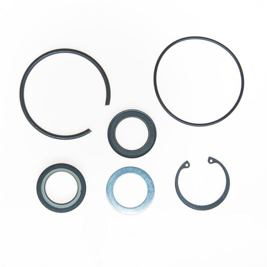 Edelmann 8767 STG. GEAR COMP PITMAN SHAFT SEAL KIT