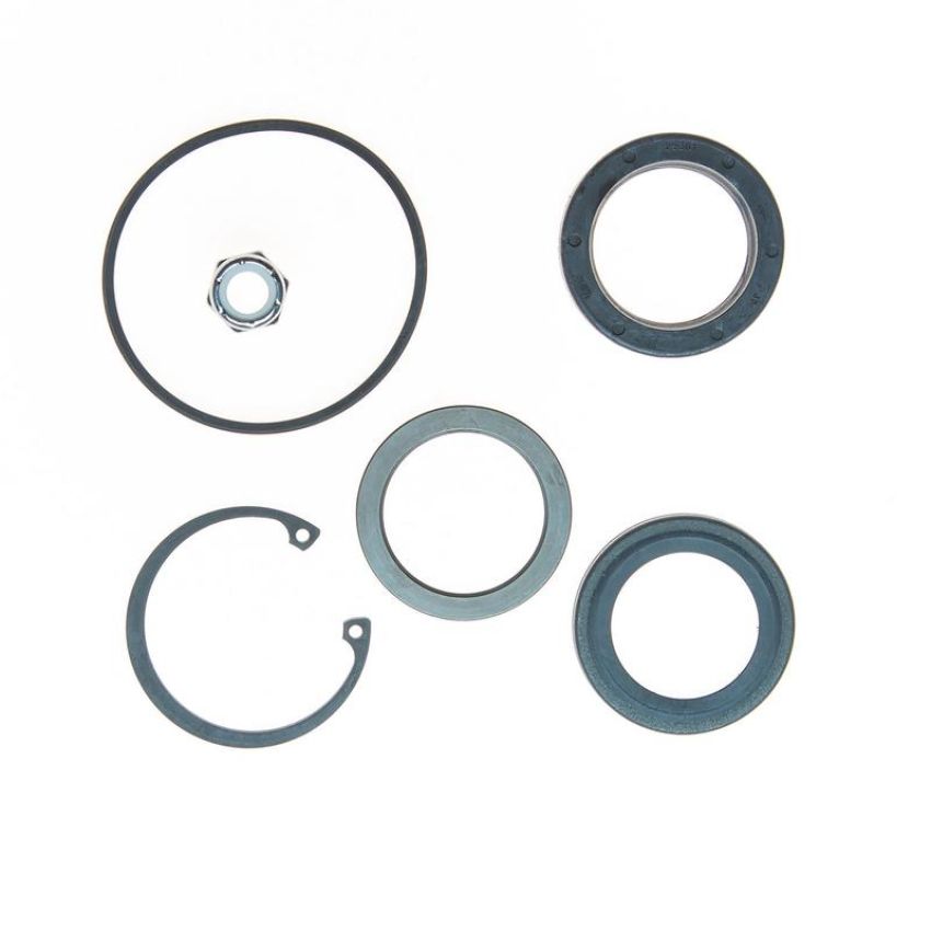 Edelmann 8773 STG. GEAR COMP PITMAN SHAFT SEAL KIT