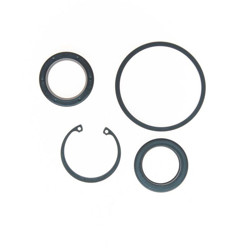 Edelmann 8778 STG. GEAR COMP PITMAN SHAFT SEAL KIT