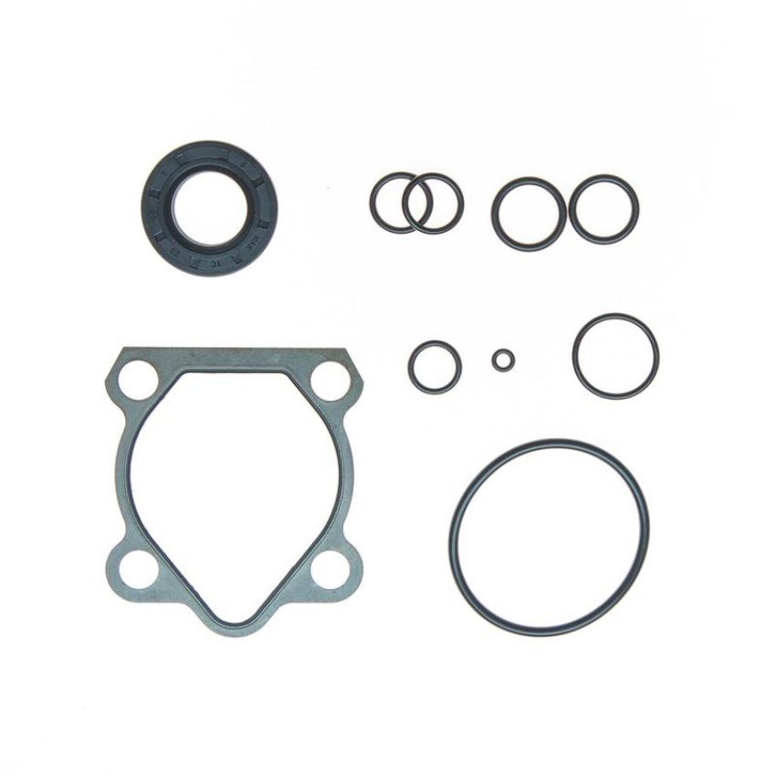 Edelmann 8791 PUMP SEAL KIT
