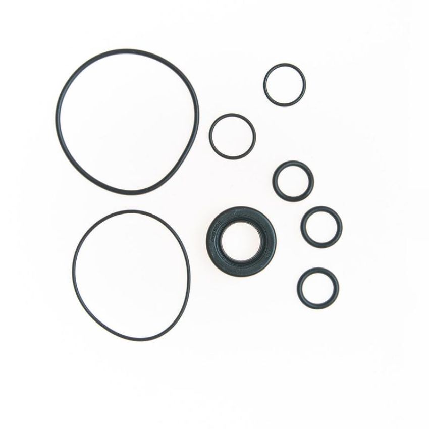 Edelmann 8793 PUMP SEAL KIT