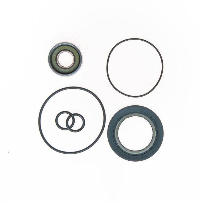 Edelmann 8795 PUMP SEAL KIT