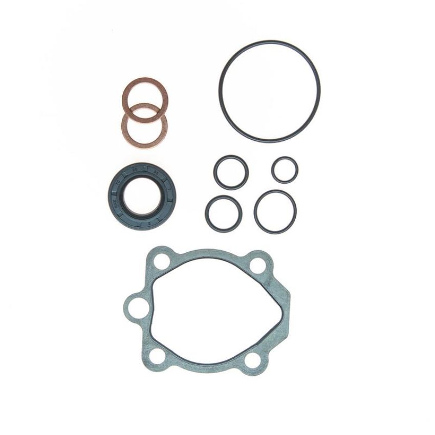 Edelmann 8799 PUMP SEAL KIT