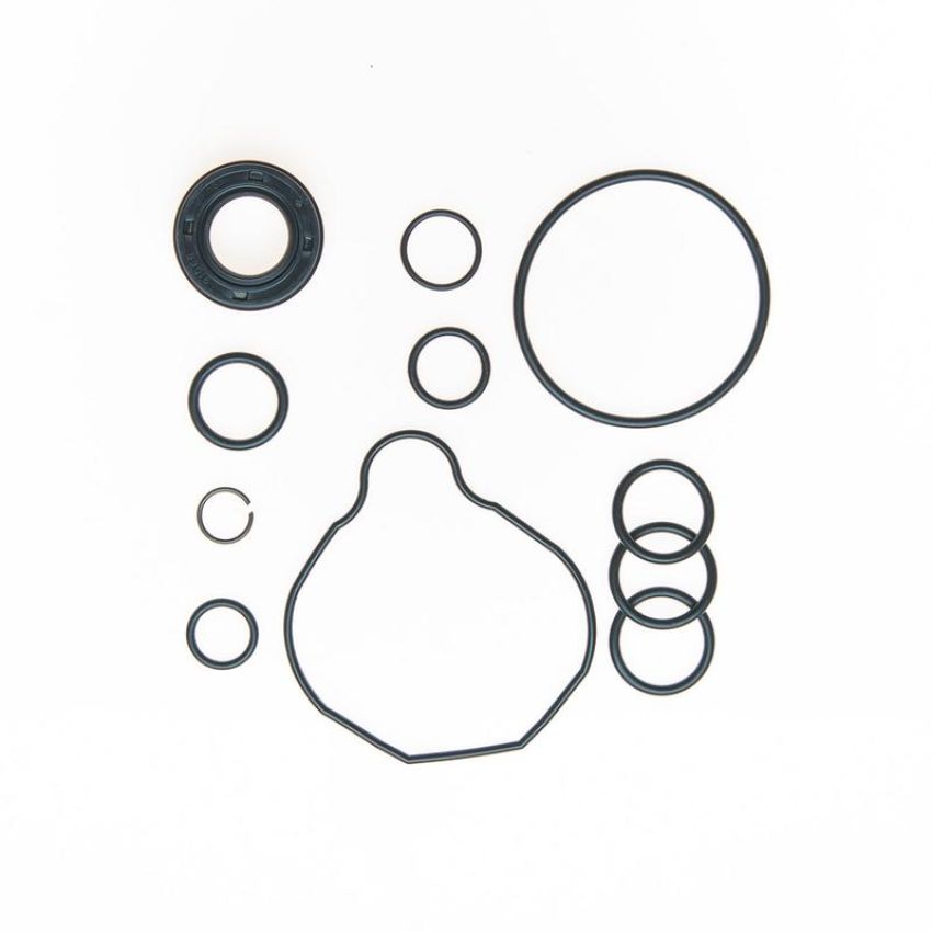 Edelmann 8800 PUMP SEAL KIT