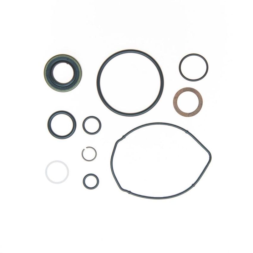 Edelmann 8801 PUMP SEAL KIT