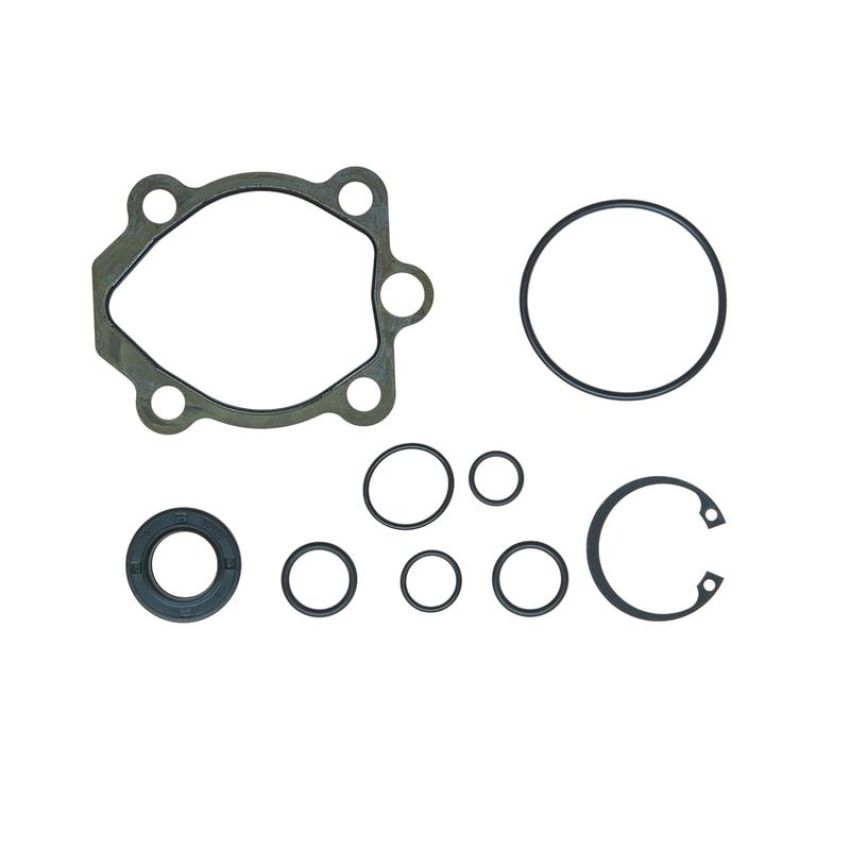 Edelmann 8820 PUMP SEAL KIT