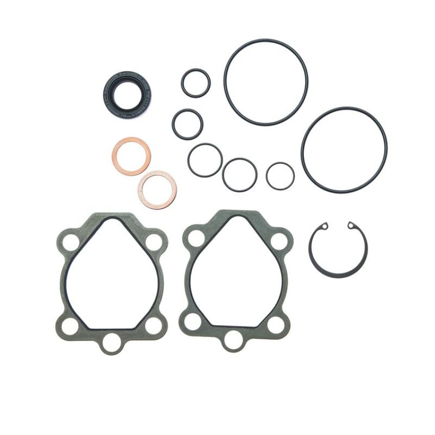 Edelmann 8821 PUMP SEAL KIT