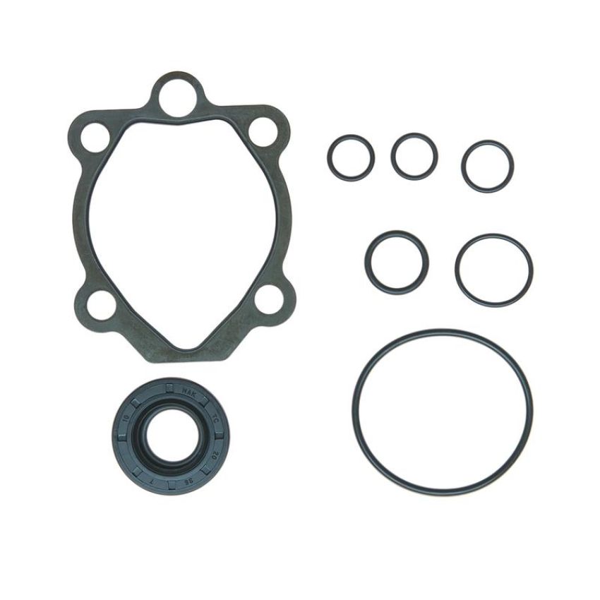 Edelmann 8824 PUMP SEAL KIT