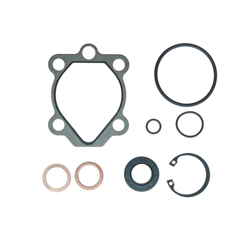 Edelmann 8831 PUMP SEAL KIT