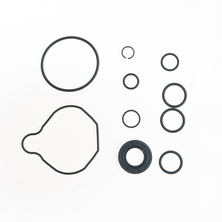 Edelmann 8833 PUMP SEAL KIT