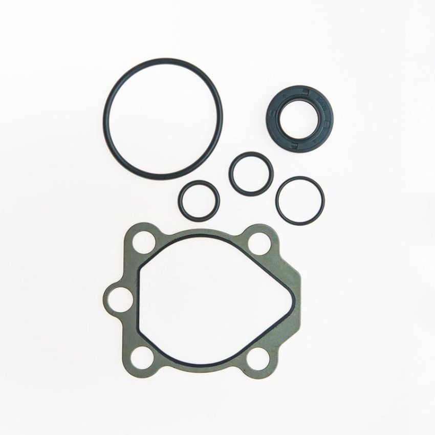 Edelmann 8837 PUMP SEAL KIT