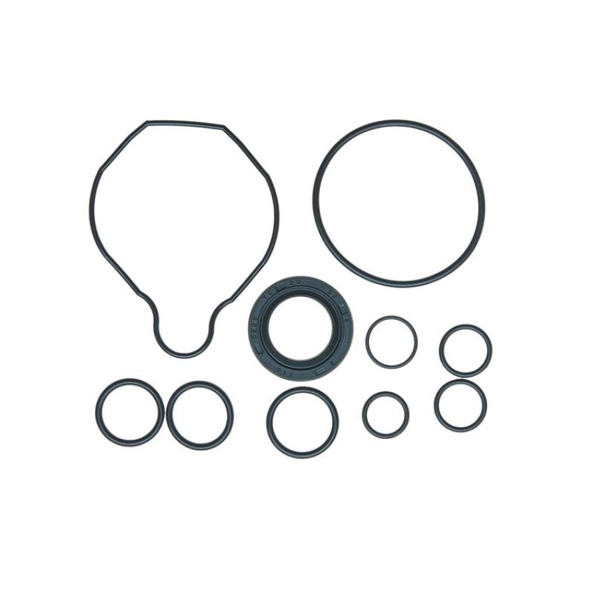 Edelmann 8839 PUMP SEAL KIT