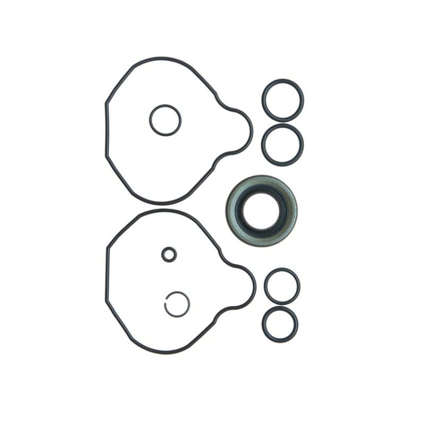 Edelmann 8840 PUMP SEAL KIT