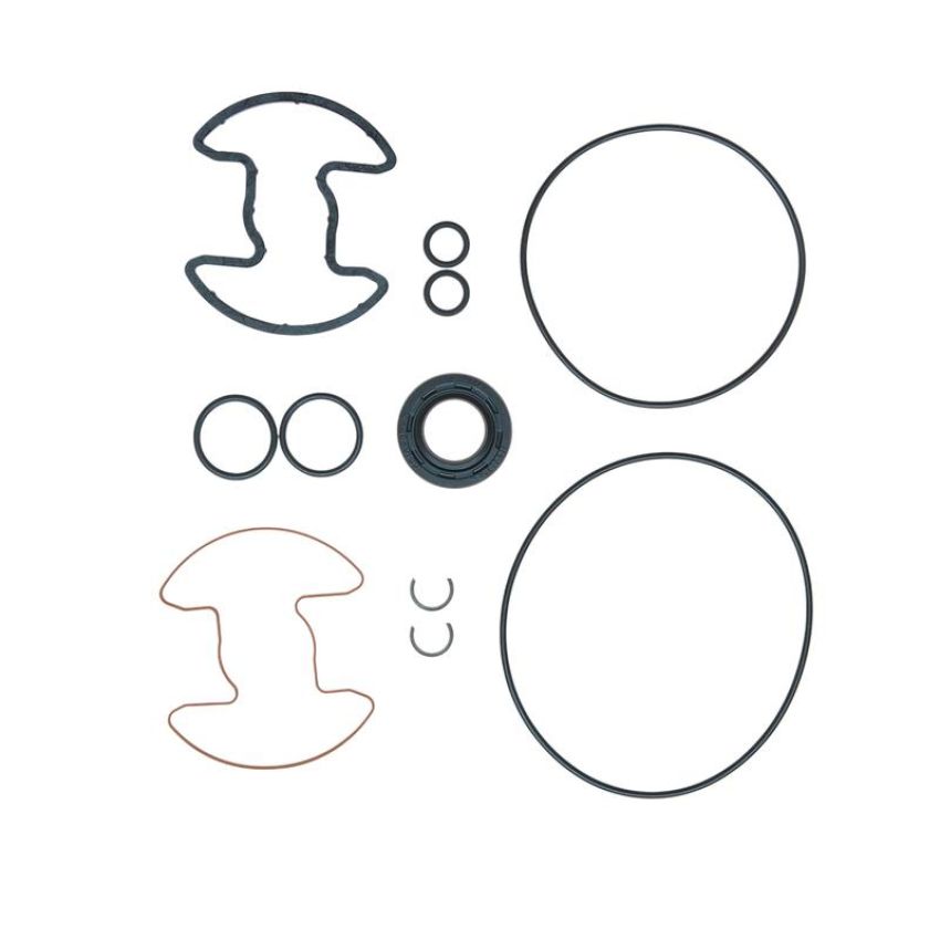 Edelmann 8842 PUMP SEAL KIT