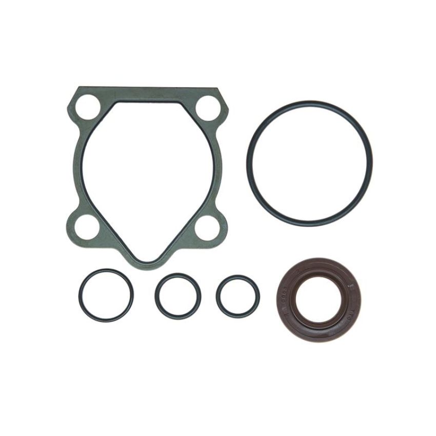Edelmann 8843 PUMP SEAL KIT