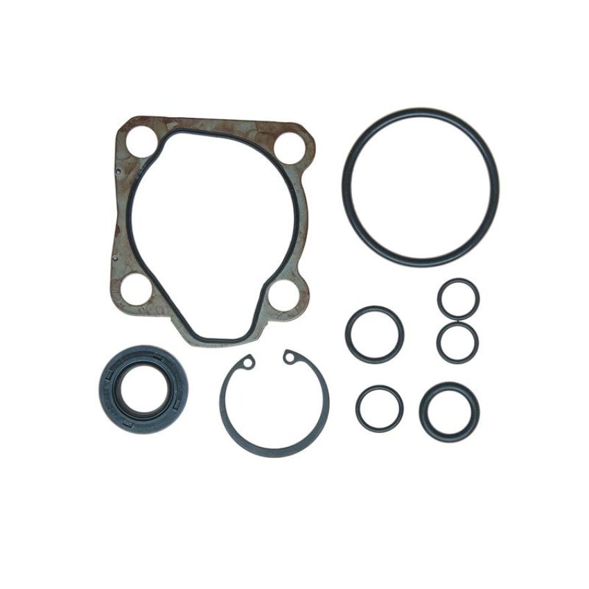 Edelmann 8895 PUMP SEAL KIT