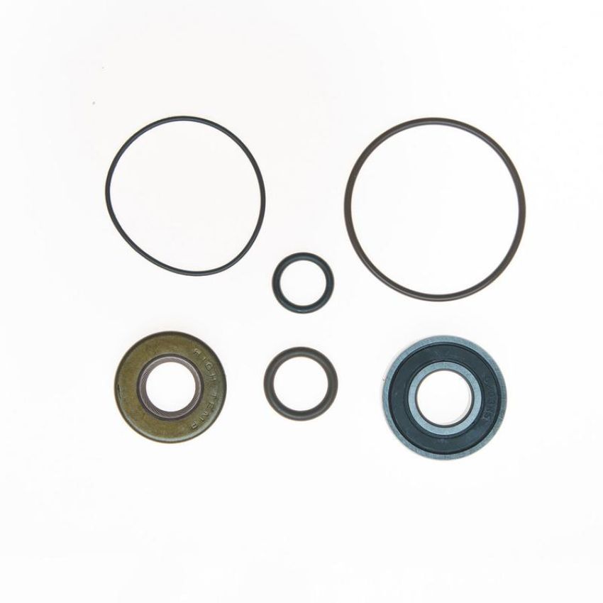 Edelmann 8900 PUMP COMPLETE REBUILD KIT
