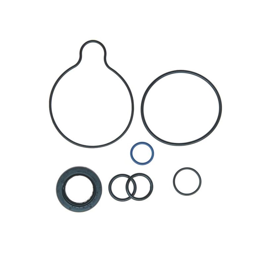 Edelmann 8906 PUMP SEAL KIT