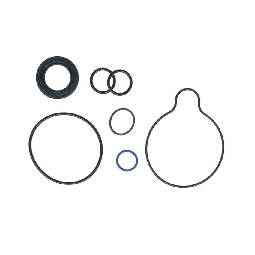 Edelmann 8930 PUMP SEAL KIT