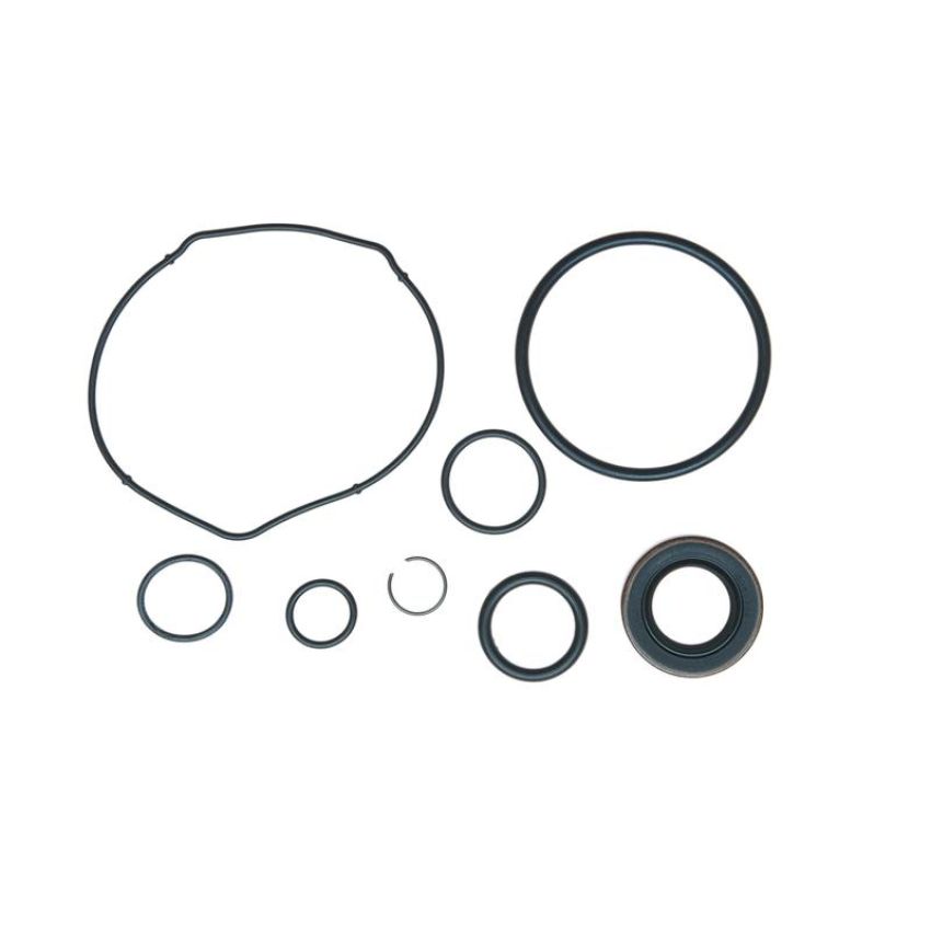 Edelmann 8931 PUMP SEAL KIT
