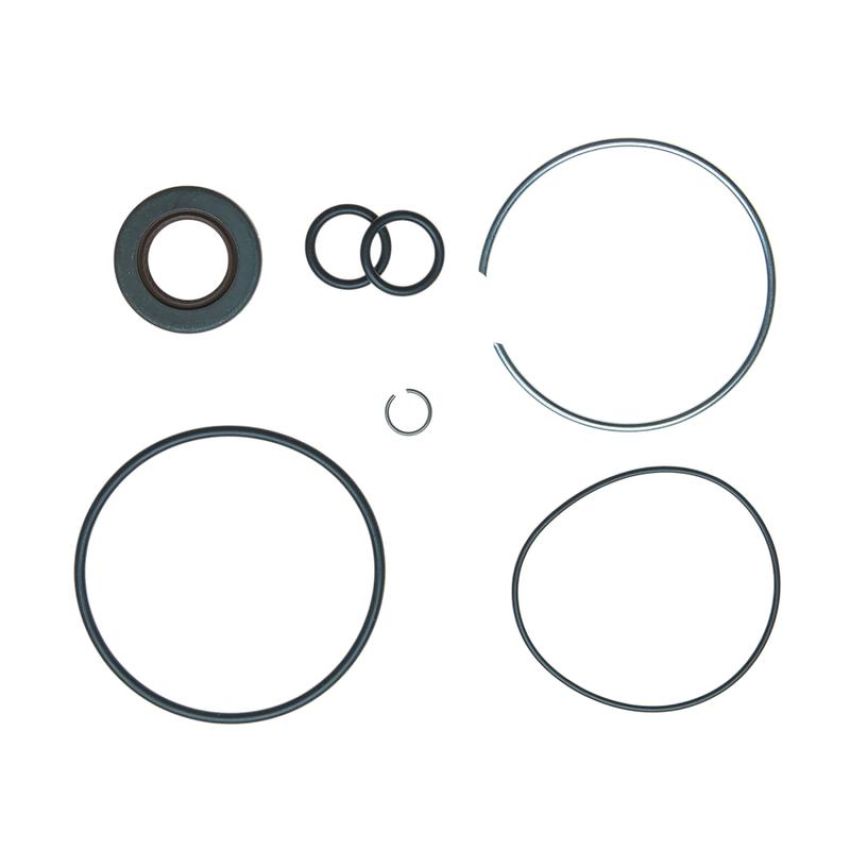 Edelmann 8935 PUMP SEAL KIT