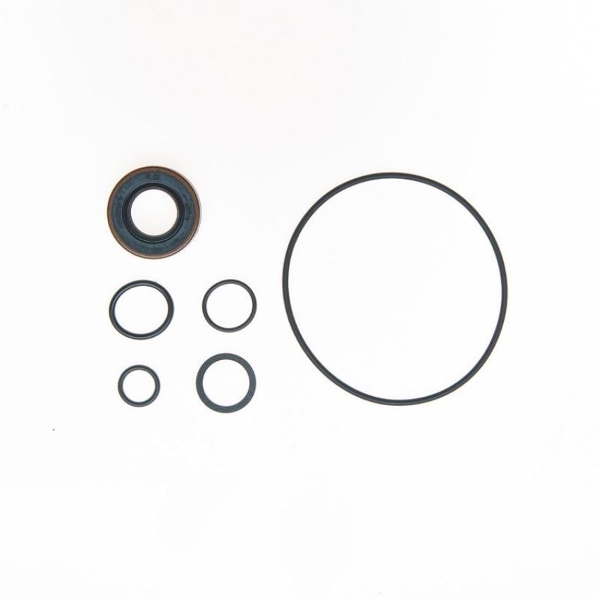 Edelmann 8942 PUMP SEAL KIT