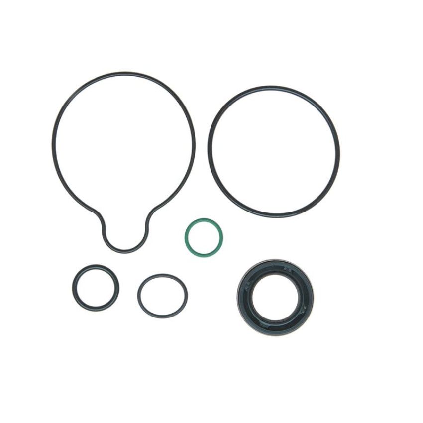 Edelmann 8958 PUMP SEAL KIT