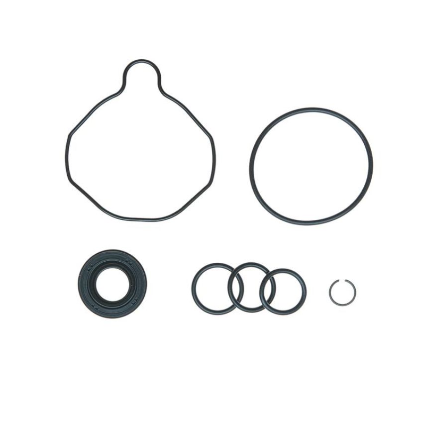 Edelmann 8972 PUMP SEAL KIT