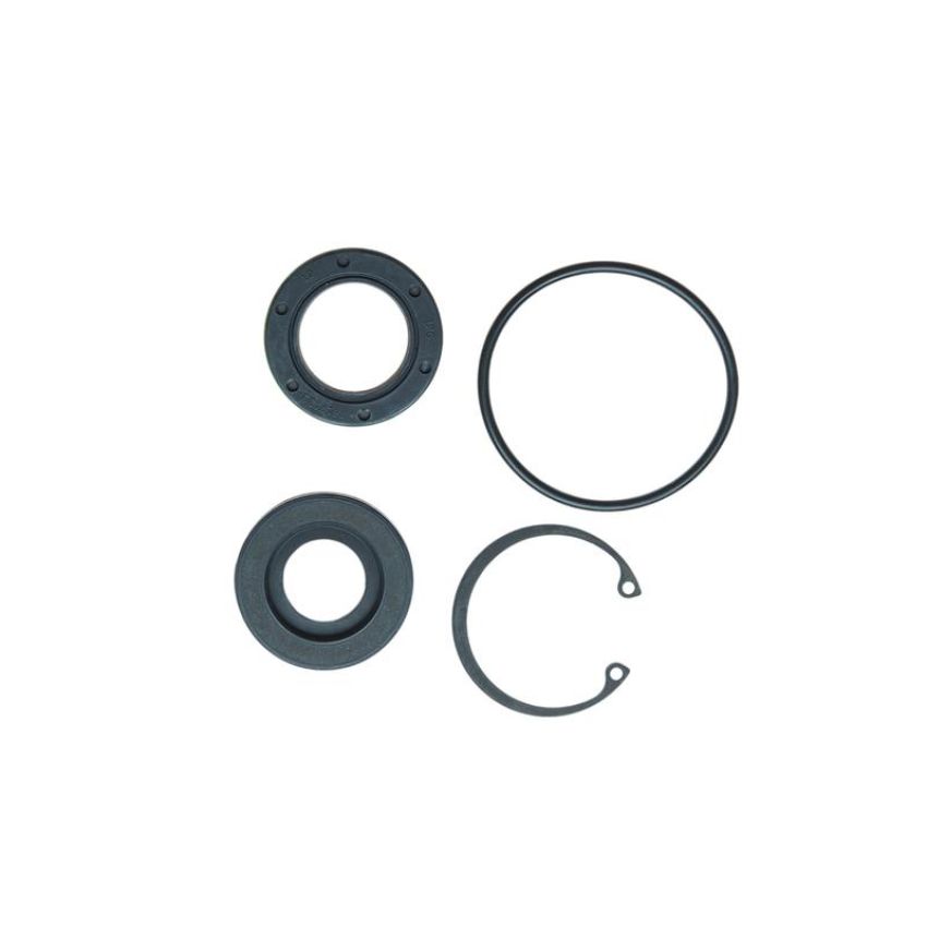 Edelmann 9015 HD STG. GEAR INPUT SHAFT SEAL KIT