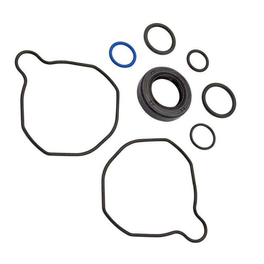 Edelmann 9061 PUMP SEAL KIT