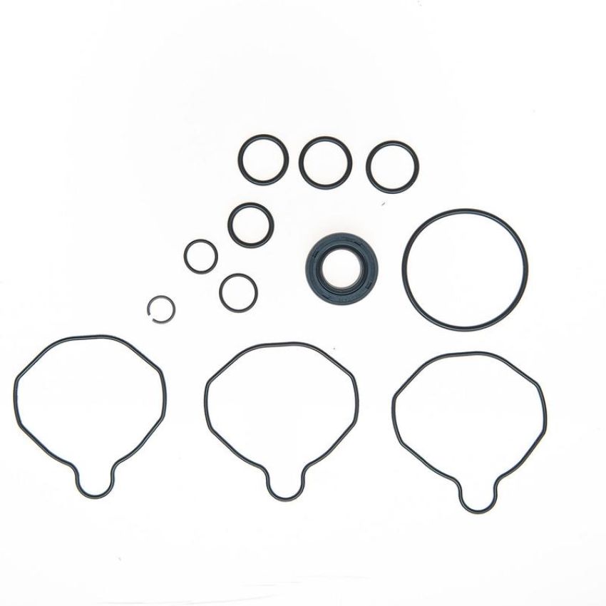 Edelmann 9101 PUMP SEAL KIT